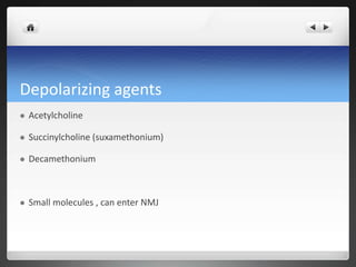 Depolarizing agents
 Acetylcholine
 Succinylcholine (suxamethonium)
 Decamethonium
 Small molecules , can enter NMJ
 