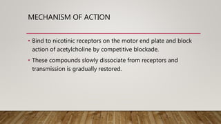 MECHANISM OF ACTION
• Bind to nicotinic receptors on the motor end plate and block
action of acetylcholine by competitive blockade.
• These compounds slowly dissociate from receptors and
transmission is gradually restored.
 