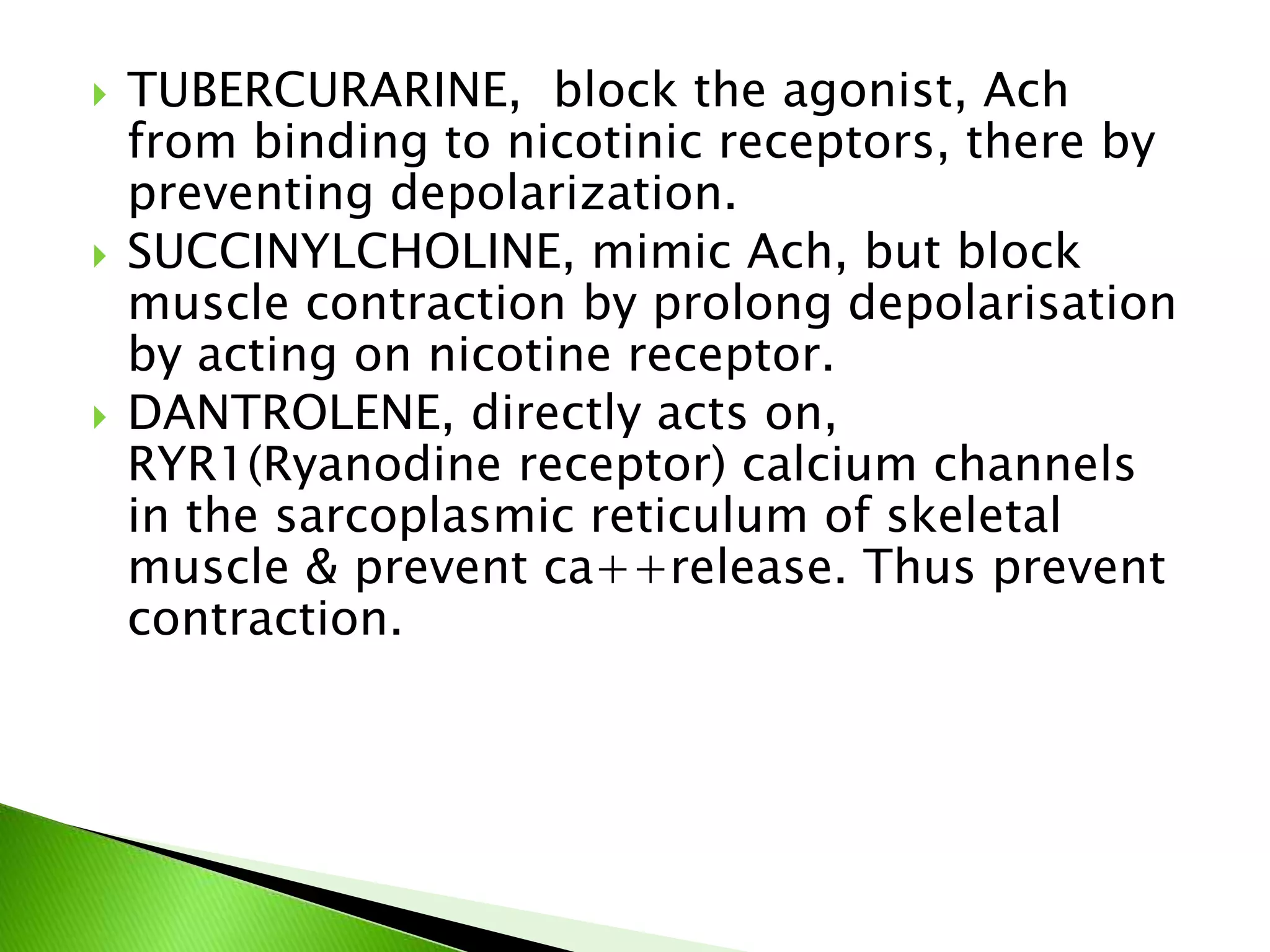  TUBERCURARINE, block the agonist, Ach
from binding to nicotinic receptors, there by
preventing depolarization.
 SUCCINYLCHOLINE, mimic Ach, but block
muscle contraction by prolong depolarisation
by acting on nicotine receptor.
 DANTROLENE, directly acts on,
RYR1(Ryanodine receptor) calcium channels
in the sarcoplasmic reticulum of skeletal
muscle & prevent ca++release. Thus prevent
contraction.
 