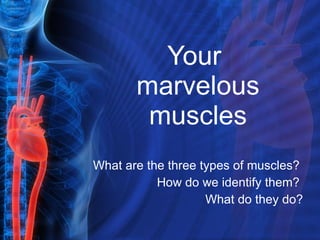 Your  marvelous muscles What are the three types of muscles?  How do we identify them?  What do they do? 