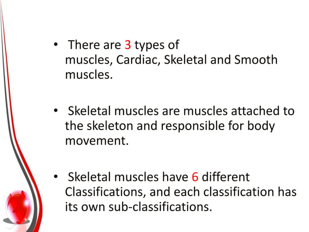 Muscles | PPTX