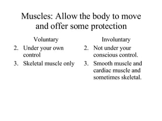 Muscles: Allow the body to move and offer some protection ,[object Object],[object Object],[object Object],[object Object],[object Object],[object Object]