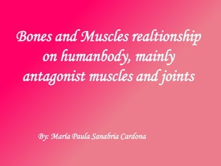 Bones and Muscles realtionship
    on humanbody, mainly
 antagonist muscles and joints


   By: María Paula Sanabria Cardona
 