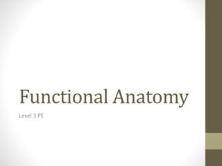 Functional Anatomy
Level 3 PE
 