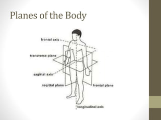Planes of the Body
 