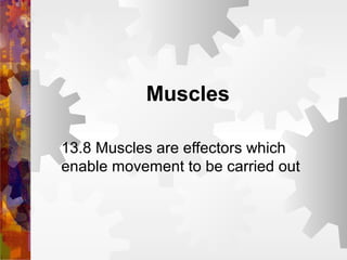 Muscles
13.8 Muscles are effectors which
enable movement to be carried out
 