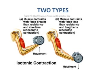 Muscles anatomy and physiology | PPTX