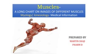 PREPARED BY
MARTIN SHAJI
PHARM D
Muscles-
A LONG CHART ON IMAGES OF DIFFERENT MUSCLES
Myology| kinesiology- Medical Information
 