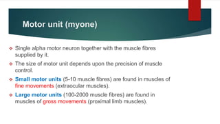 MUSCLES OF HUMAN BODY GENERAL ANATOMY .pptx