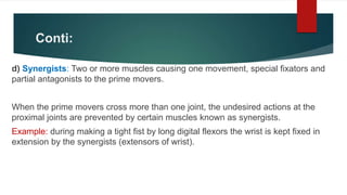 Synergist Example MUSCLES OF HUMAN BODY GENERAL ANATOMY .pptx