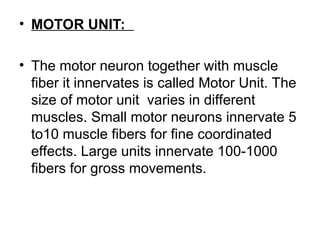 MUSCLES Slideshare 1 to 32 Slides..11021 | PPT