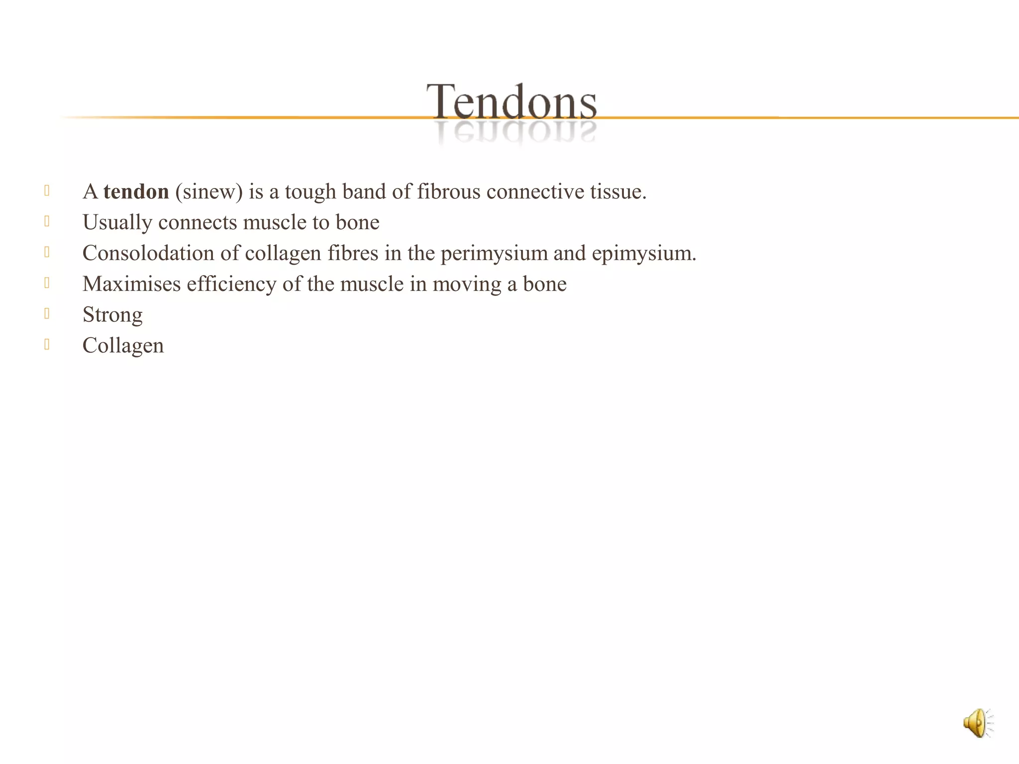  A tendon (sinew) is a tough band of fibrous connective tissue.
 Usually connects muscle to bone
 Consolodation of collagen fibres in the perimysium and epimysium.
 Maximises efficiency of the muscle in moving a bone
 Strong
 Collagen
 