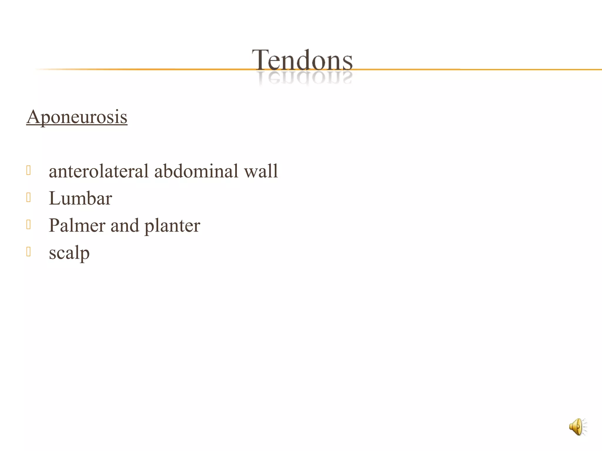 Aponeurosis
 anterolateral abdominal wall
 Lumbar
 Palmer and planter
 scalp
 