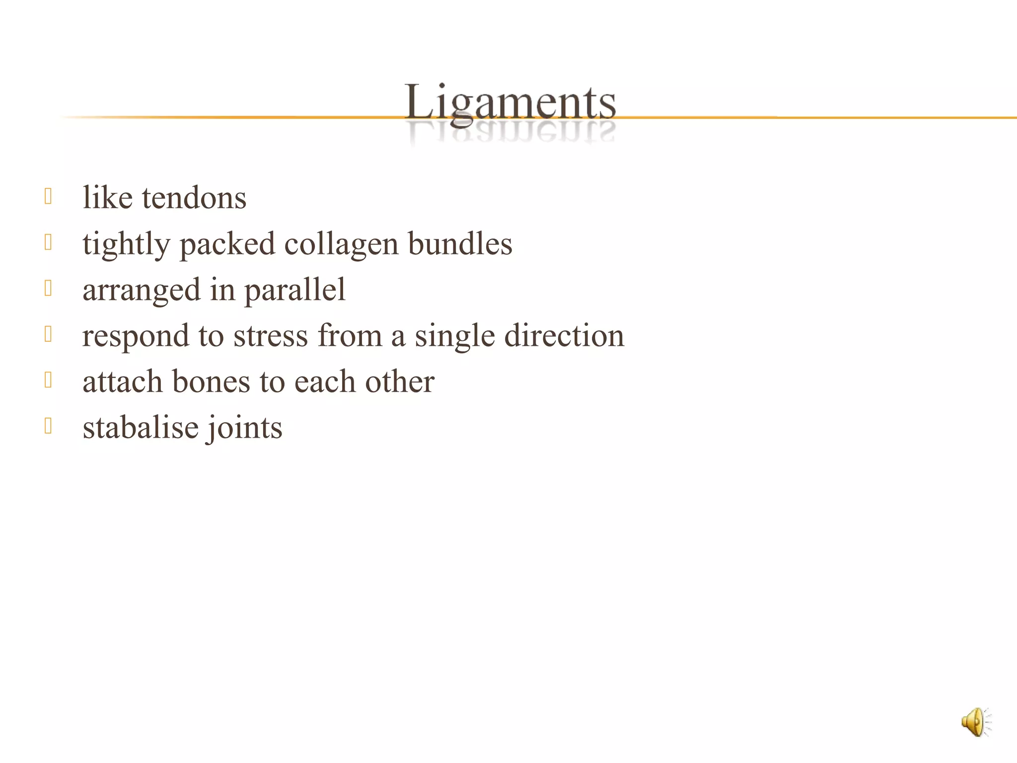  like tendons
 tightly packed collagen bundles
 arranged in parallel
 respond to stress from a single direction
 attach bones to each other
 stabalise joints
 