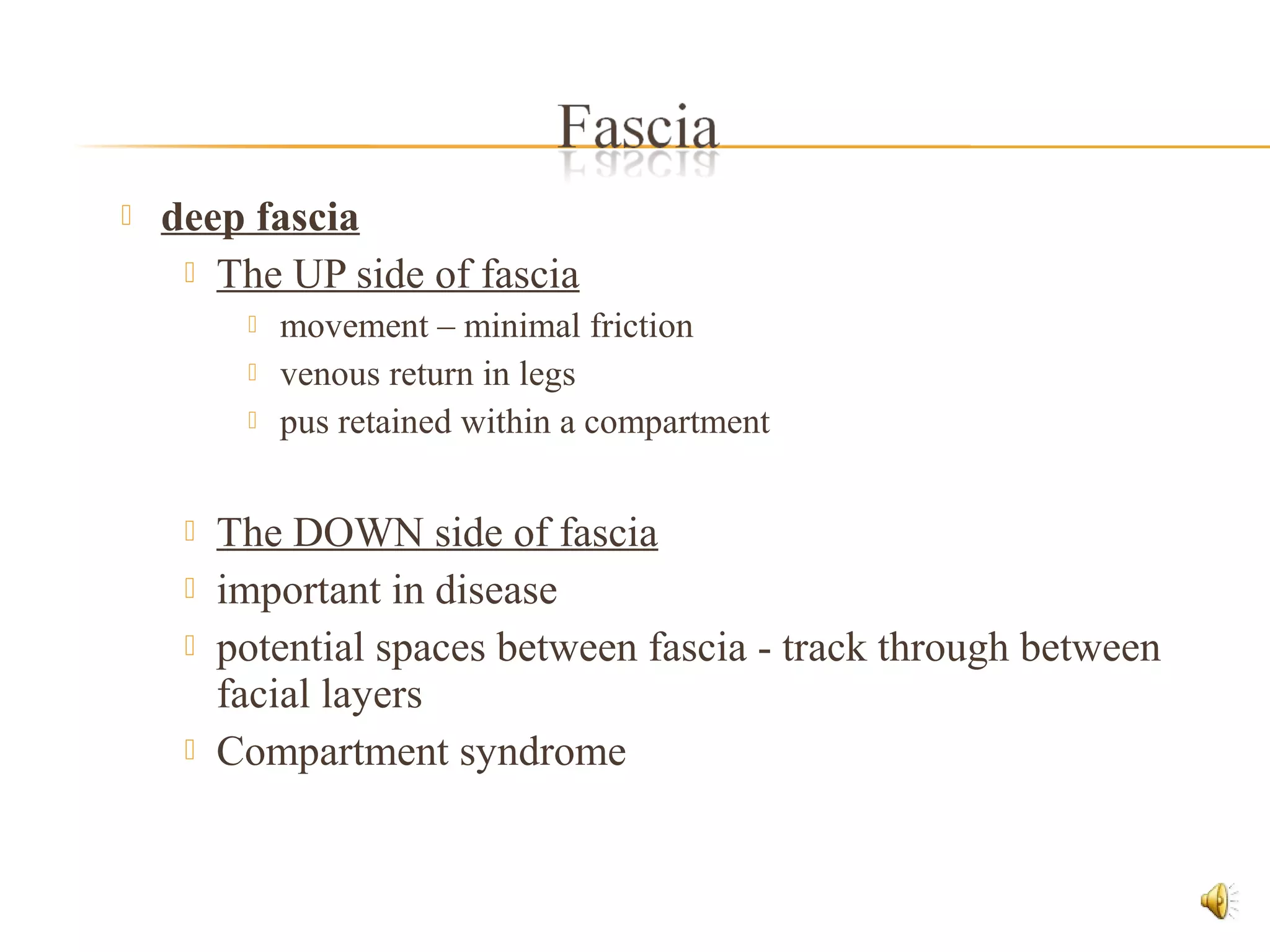  deep fascia
 The UP side of fascia
 movement – minimal friction
 venous return in legs
 pus retained within a compartment
 The DOWN side of fascia
 important in disease
 potential spaces between fascia - track through between
facial layers
 Compartment syndrome
 