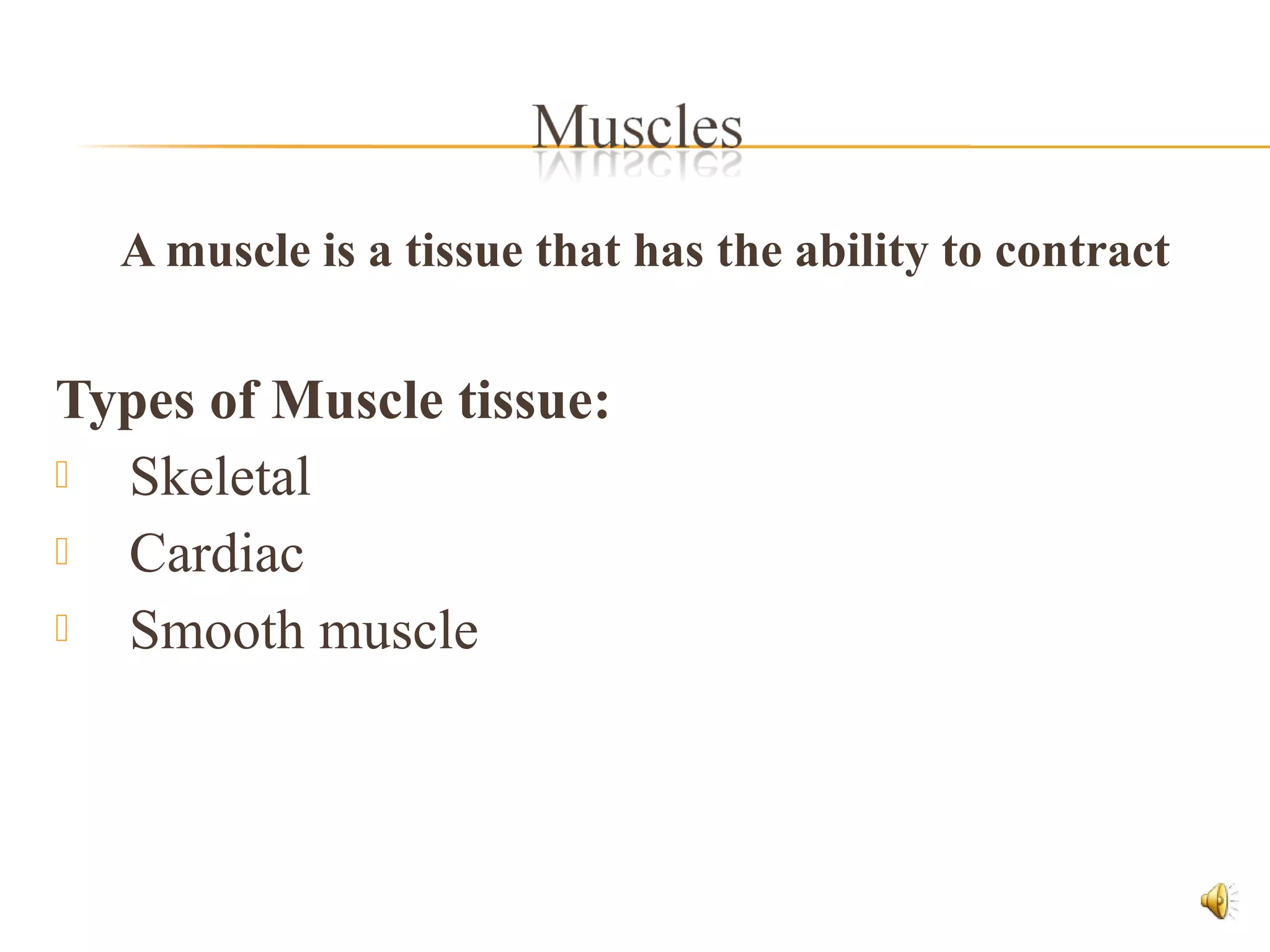 A muscle is a tissue that has the ability to contract
Types of Muscle tissue:
 Skeletal
 Cardiac
 Smooth muscle
 
