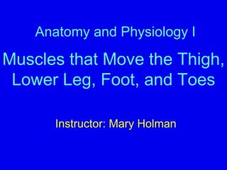 Anatomy and Physiology I
Muscles that Move the Thigh,
Lower Leg, Foot, and Toes
Instructor: Mary Holman
 