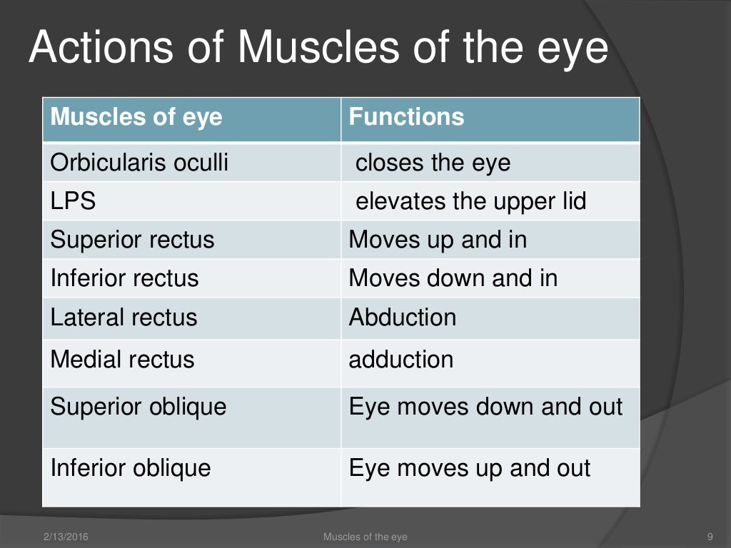 Muscles of the eye