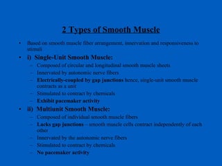2 Types of Smooth Muscle Based on smooth muscle fiber arrangement, innervation and responsiveness to stimuli i)  Single-Unit Smooth Muscle: Composed of circular and longitudinal smooth muscle sheets Innervated by autonomic nerve fibers Electrically-coupled by gap junctions  hence, single-unit smooth muscle contracts as a unit Stimulated to contract by chemicals Exhibit pacemaker activity ii)  Multiunit Smooth Muscle: Composed of individual smooth muscle fibers  Lacks gap junctions  – smooth muscle cells contract independently of each other Innervated by the autonomic nerve fibers Stimulated to contract by chemicals No pacemaker activity 
