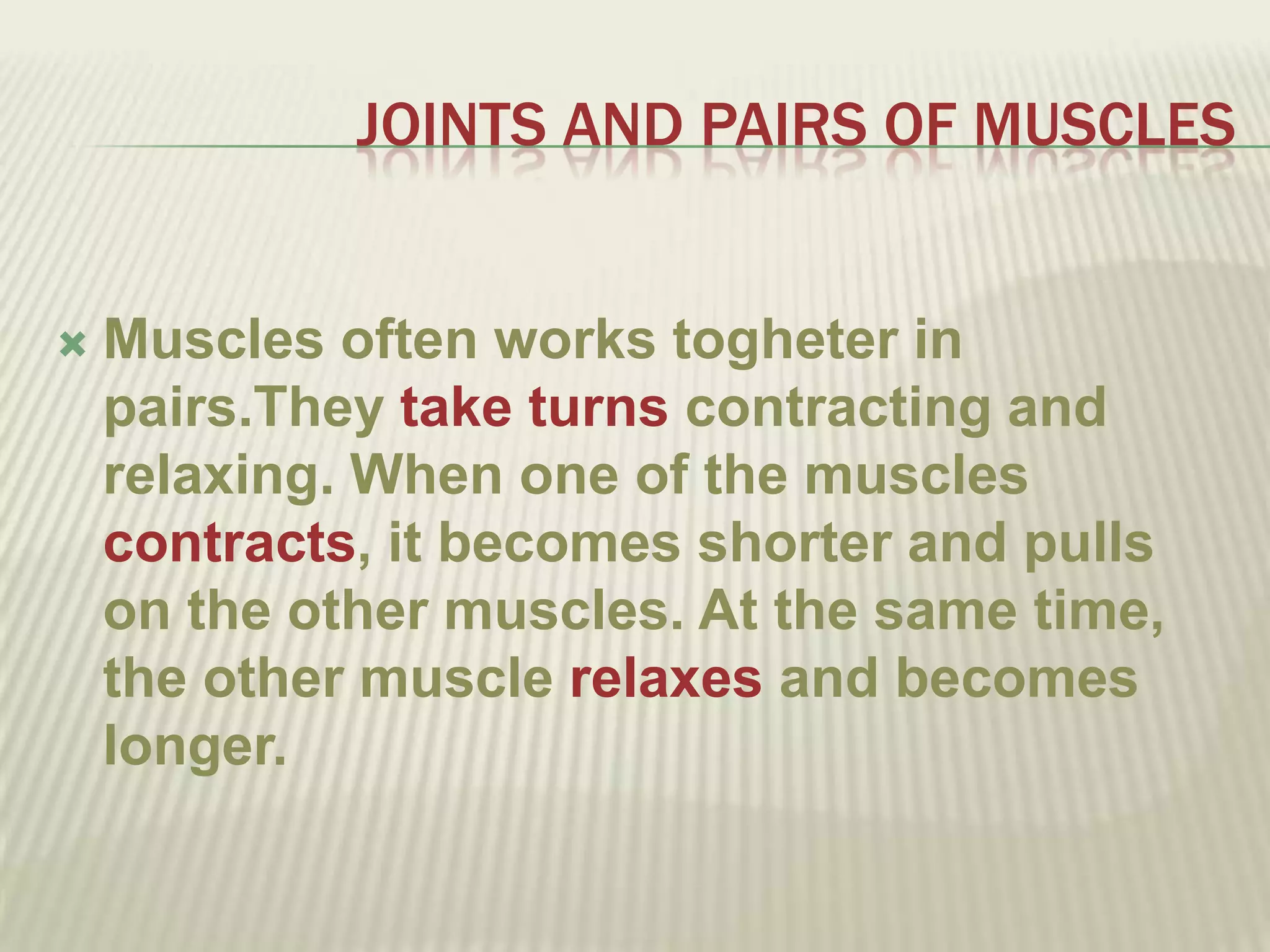 JOINTS AND PAIRS OF MUSCLES


   Muscles often works togheter in
    pairs.They take turns contracting and
    relaxing. When one of the muscles
    contracts, it becomes shorter and pulls
    on the other muscles. At the same time,
    the other muscle relaxes and becomes
    longer.
 