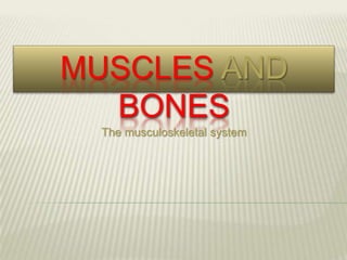 MUSCLES AND
  BONES
 The musculoskeletal system
 