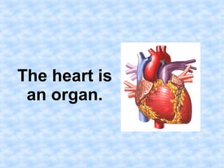 The heart is 
an organ. 
 