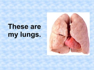 These are 
my lungs. 
 