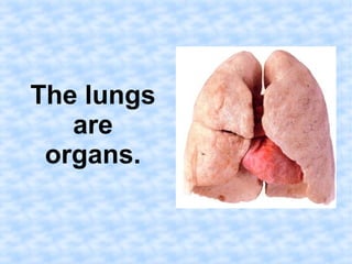 The lungs 
are 
organs. 
 