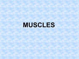 MUSCLES 
 