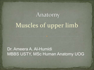 Muscles of upper limb
Dr. Ameera A. Al-Humidi
MBBS USTY, MSc Human Anatomy UOG
 