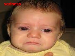 sadness
 
