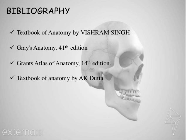 MUSCLES AROUND THE MOUTH