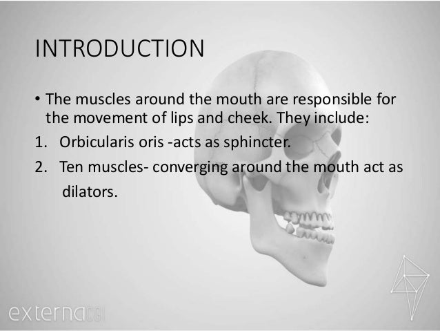 MUSCLES AROUND THE MOUTH