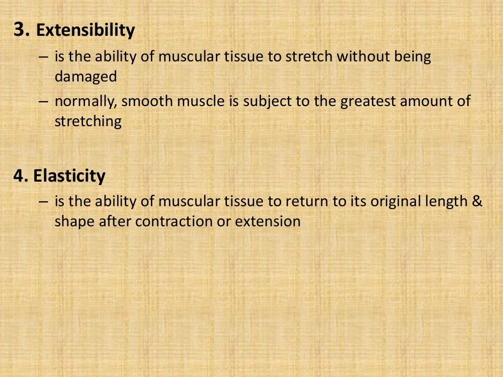 Muscles classification