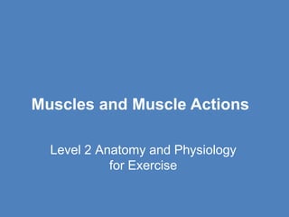 Level 2 Anatomy and Physiology
for Exercise
Muscles and Muscle Actions
 