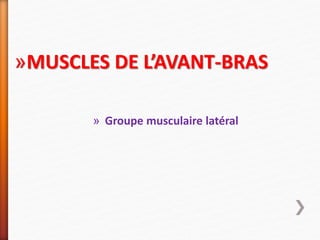 »MUSCLES DE L’AVANT-BRAS
» Groupe musculaire latéral
 