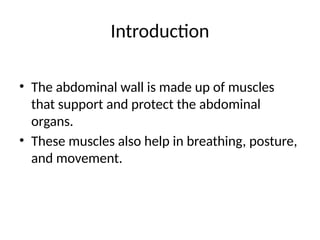 Introduction
• The abdominal wall is made up of muscles
that support and protect the abdominal
organs.
• These muscles also help in breathing, posture,
and movement.
 