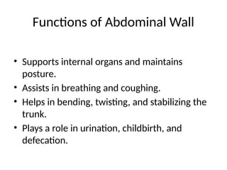 Functions of Abdominal Wall
• Supports internal organs and maintains
posture.
• Assists in breathing and coughing.
• Helps in bending, twisting, and stabilizing the
trunk.
• Plays a role in urination, childbirth, and
defecation.
 