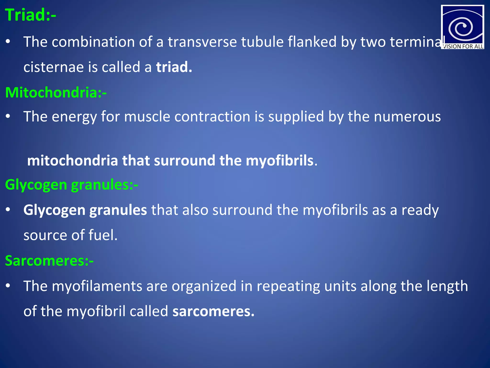 Triad:-
• The combination of a transverse tubule flanked by two terminal
cisternae is called a triad.
Mitochondria:-
• The energy for muscle contraction is supplied by the numerous
mitochondria that surround the myofibrils.
Glycogen granules:-
• Glycogen granules that also surround the myofibrils as a ready
source of fuel.
Sarcomeres:-
• The myofilaments are organized in repeating units along the length
of the myofibril called sarcomeres.
 