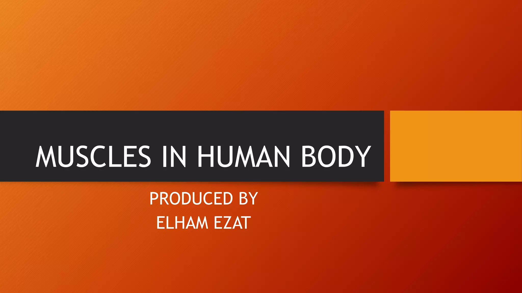 Muscles in human body PPT