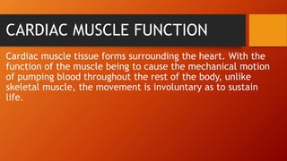 CARDIAC MUSCLE FUNCTION
Cardiac muscle tissue forms surrounding the heart. With the
function of the muscle being to cause the mechanical motion
of pumping blood throughout the rest of the body, unlike
skeletal muscle, the movement is involuntary as to sustain
life.
 