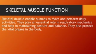 SKELETAL MUSCLE FUNCTION
Skeletal muscle enable humans to move and perform daily
activities. They play an essential role in respiratory mechanics
and help in maintaining posture and balance. They also protect
the vital organs in the body.
 