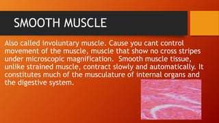 SMOOTH MUSCLE
Also called involuntary muscle. Cause you cant control
movement of the muscle, muscle that show no cross stripes
under microscopic magnification. Smooth muscle tissue,
unlike strained muscle, contract slowly and automatically. It
constitutes much of the musculature of internal organs and
the digestive system.
 