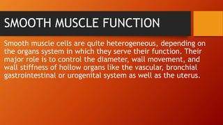 SMOOTH MUSCLE FUNCTION
Smooth muscle cells are quite heterogeneous, depending on
the organs system in which they serve their function. Their
major role is to control the diameter, wall movement, and
wall stiffness of hollow organs like the vascular, bronchial
gastrointestinal or urogenital system as well as the uterus.
 