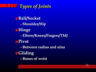Types of Joints Ball/Socket Shoulder/Hip Hinge Elbow/Knees/Fingers/TMJ Pivot Between radius and ulna Gliding Bones of wrist 