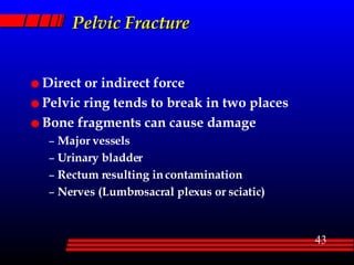 Pelvic Fracture Direct or indirect force Pelvic ring tends to break in two places Bone fragments can cause damage Major vessels Urinary bladder Rectum resulting in contamination Nerves (Lumbrosacral plexus or sciatic)  