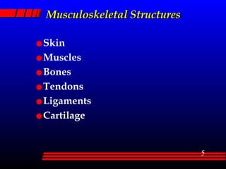 Musculoskeletal Structures Skin Muscles Bones Tendons Ligaments Cartilage 