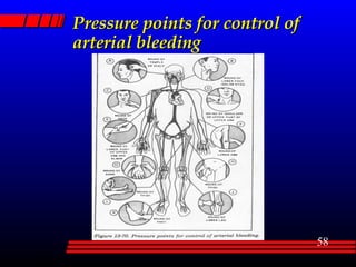 Pressure points for control of arterial bleeding 