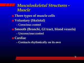 Musculoskeletal Structures - Muscle Three types of muscle cells Voluntary (Skeletal) Conscious control Smooth (Bronchi, GI tract, blood vessels) Unconscious control Cardiac Contracts rhythmically on its own 