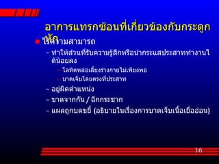 Muscle Skeletal (Thai) | PPT